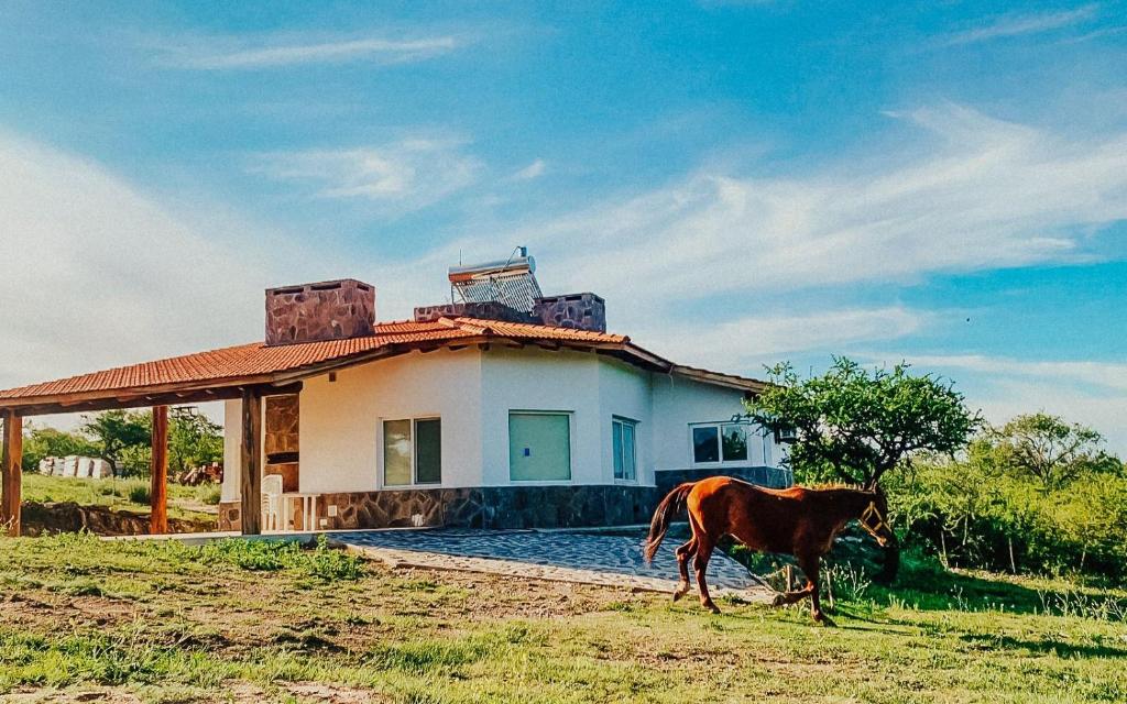 Alquiler turístico en Villa General Belgrano – Cabaña Mar Finca Pu Duam