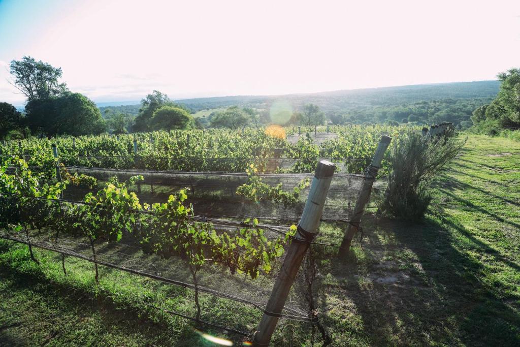 Finca Pu Duam, Villa General Belgrano, Córdoba
